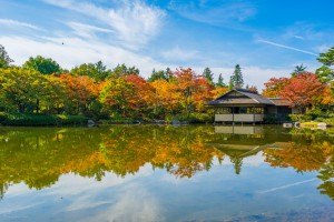 昭和記念公園