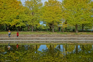 昭和記念公園